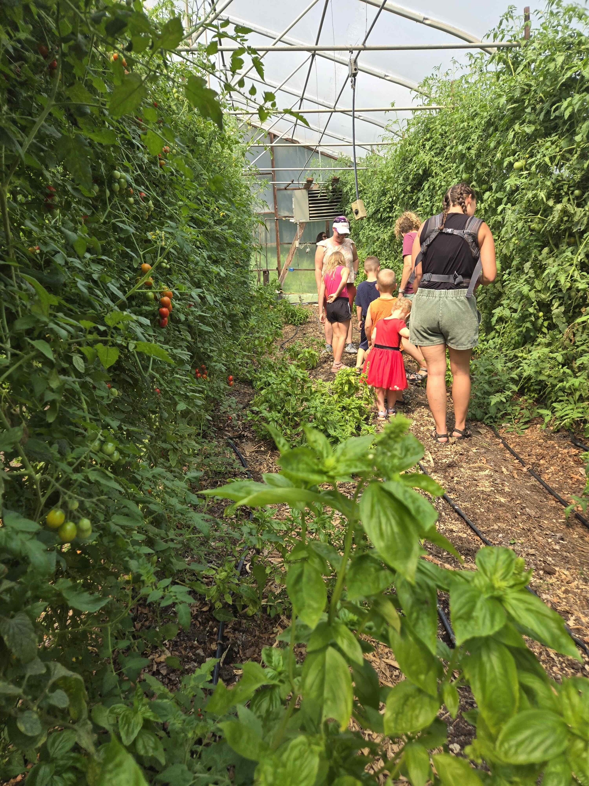 Tour at Berry Hill Farm