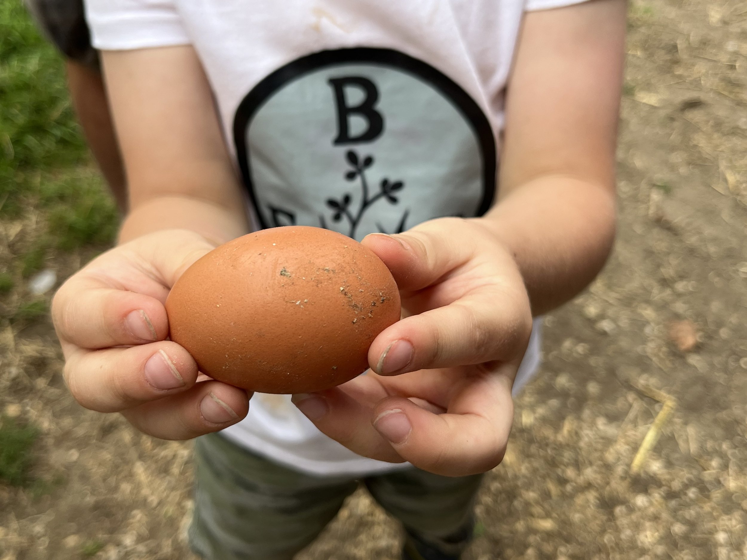 Discovery at Bolinger Family Farm