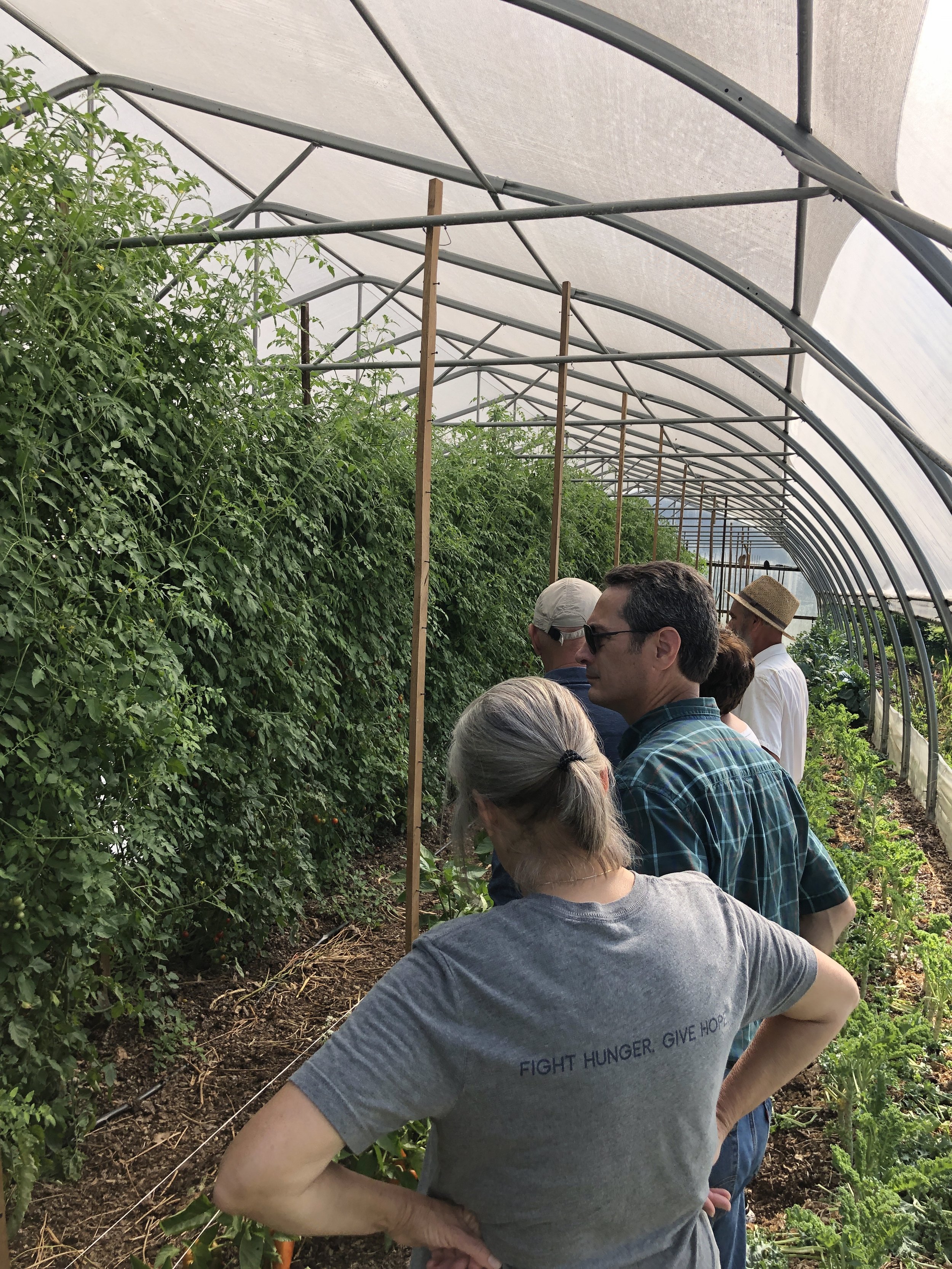 Berry Hill Farm Farm Tour  (Copy)