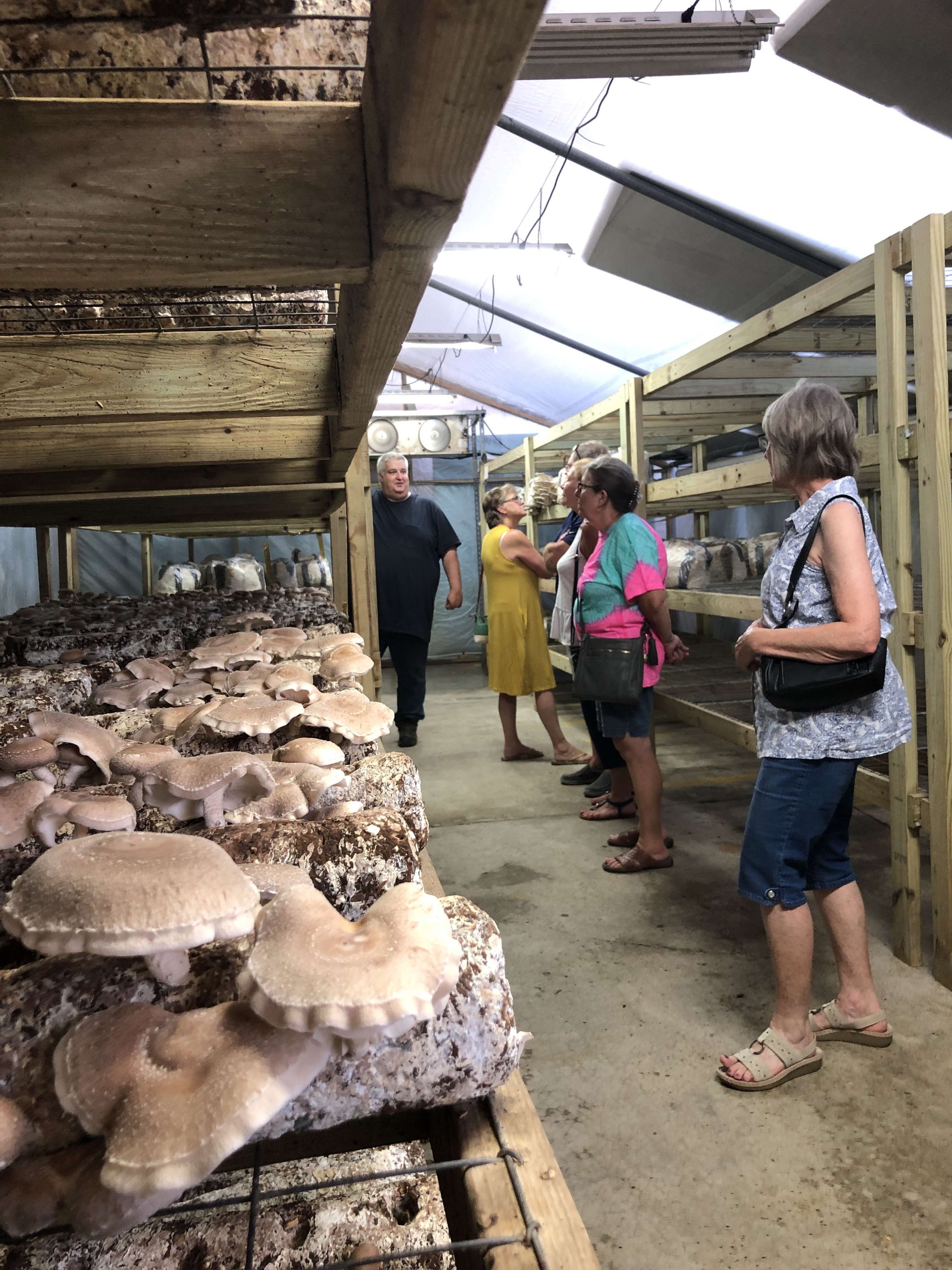 Tour of Windrose Urban Farm mushroom farm (Copy)