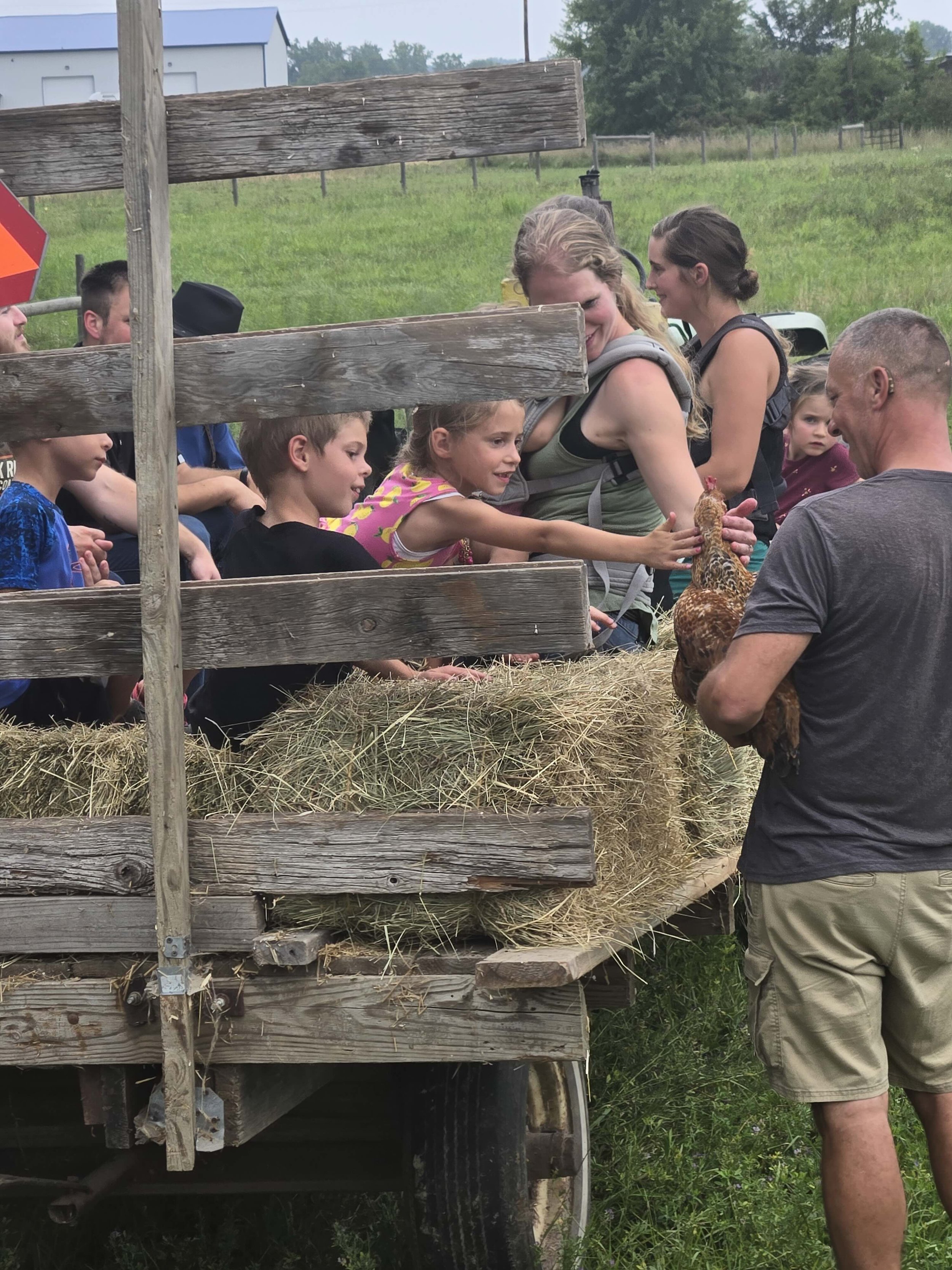 Meeting a Chicken at Lone Tree Farms